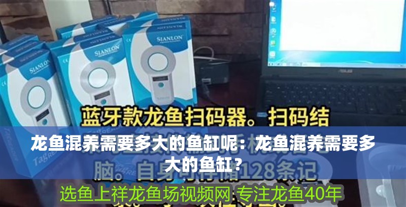 龍魚混養需要多大的魚缸呢：龍魚混養需要多大的魚缸？