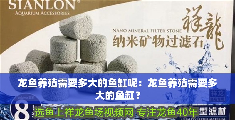 龍魚養殖需要多大的魚缸呢：龍魚養殖需要多大的魚缸？