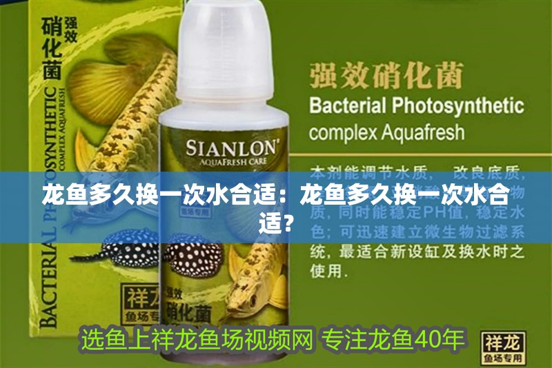 龍魚多久換一次水合適：龍魚多久換一次水合適？