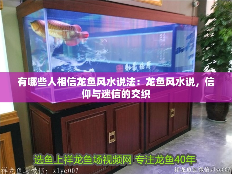有哪些人相信龍魚風水說法：龍魚風水說，信仰與迷信的交織