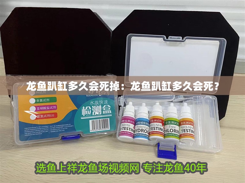 龍魚趴缸多久會死掉：龍魚趴缸多久會死？