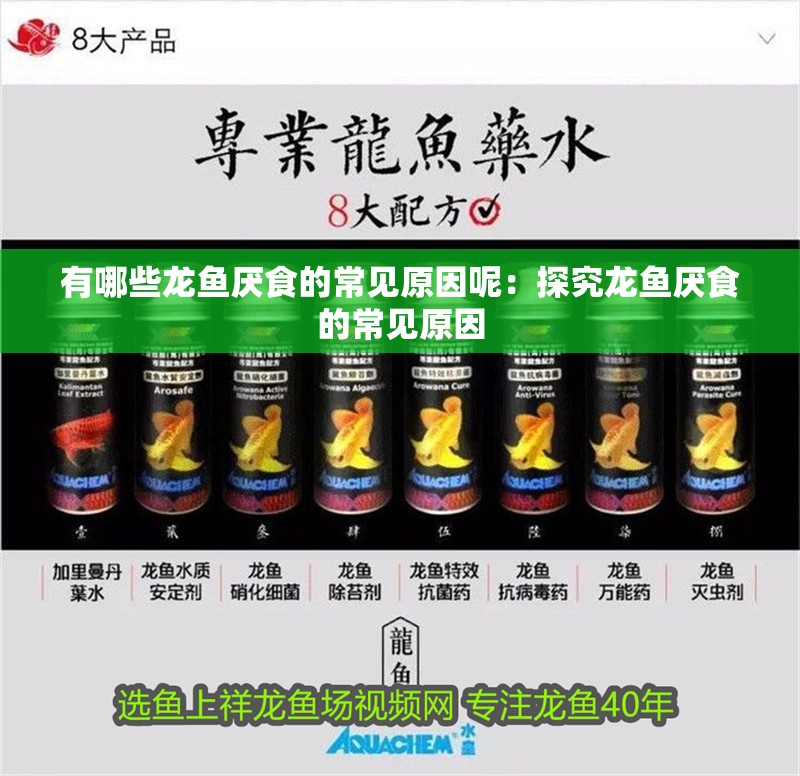 有哪些龍魚厭食的常見原因呢：探究龍魚厭食的常見原因