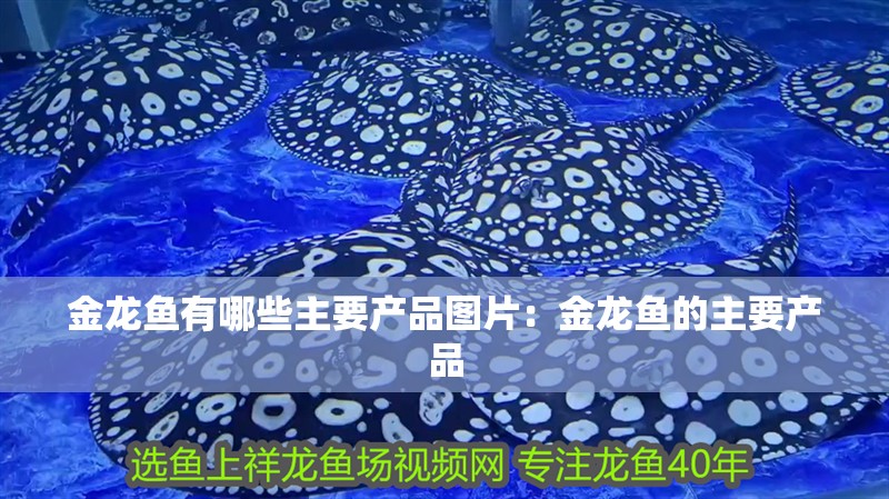 金龍魚有哪些主要產品圖片：金龍魚的主要產品