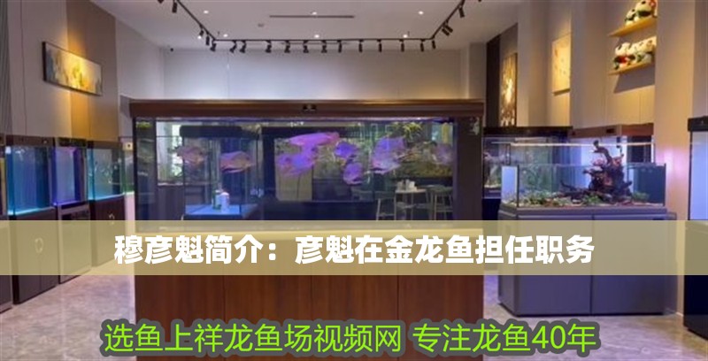 穆彥魁簡介：彥魁在金龍魚擔任職務(wù)