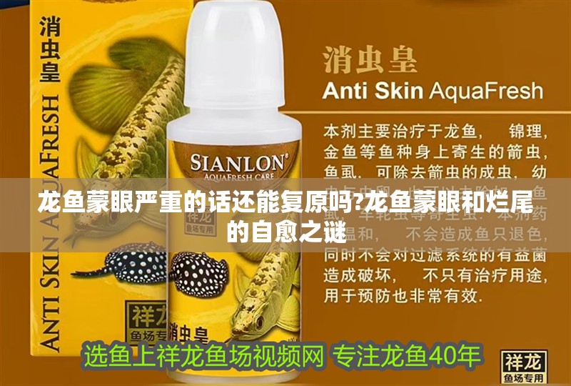 龍魚蒙眼嚴(yán)重的話還能復(fù)原嗎?龍魚蒙眼和爛尾的自愈之謎 龍魚蒙眼嚴(yán)重的話還能復(fù)原嗎?龍魚蒙眼和爛尾的自愈之謎 水族問答