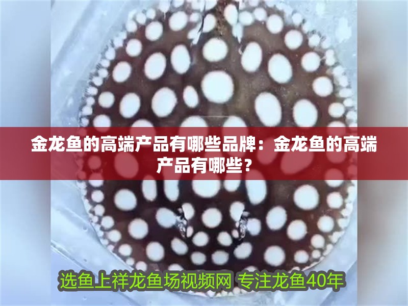 金龍魚的高端產品有哪些品牌：金龍魚的高端產品有哪些？ 金龍魚的高端產品有哪些品牌：金龍魚的高端產品有哪些？ 水族問答