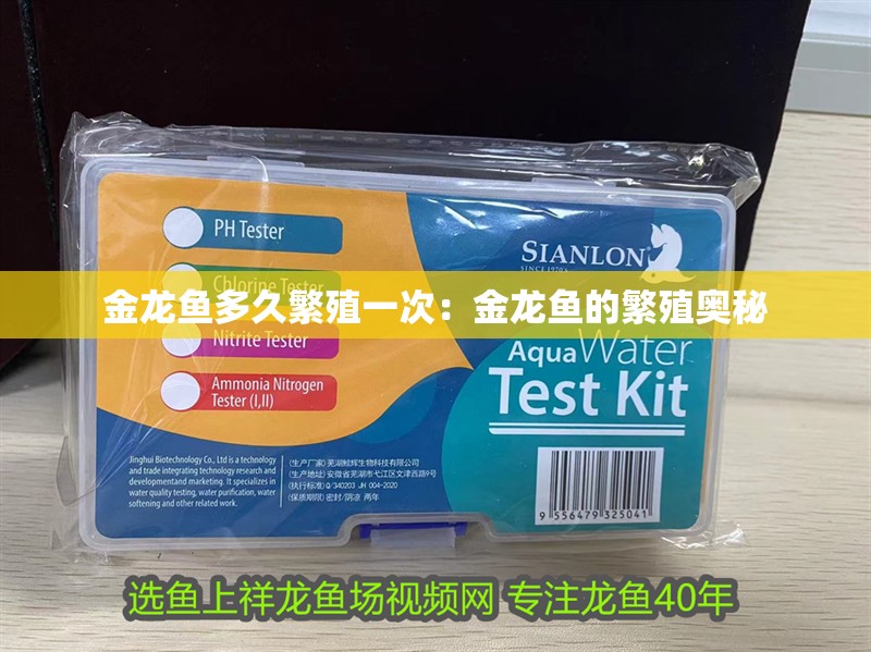 金龍魚多久繁殖一次：金龍魚的繁殖奧秘