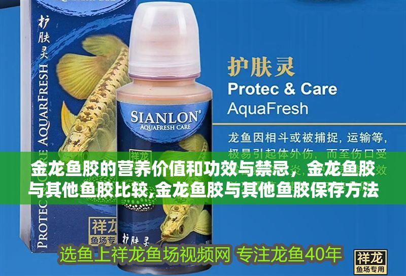 金龍魚(yú)膠的營(yíng)養(yǎng)價(jià)值和功效與禁忌，金龍魚(yú)膠與其他魚(yú)膠比較,金龍魚(yú)膠與其他魚(yú)膠保存方法