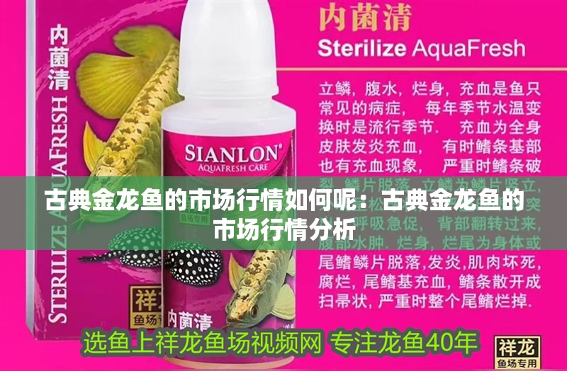 古典金龍魚的市場行情如何呢：古典金龍魚的市場行情分析