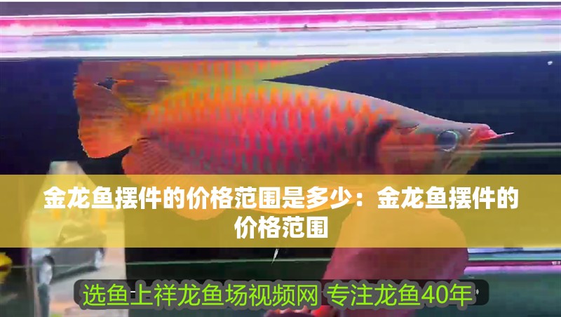 金龍魚擺件的價格范圍是多少：金龍魚擺件的價格范圍