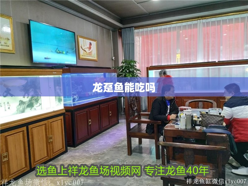 魚缸過濾器選購指南:自制魚缸過濾器魚缸上置過濾器對于養魚愛好者的必備知識 龍躉魚能吃嗎 龍魚百科 龍躉魚能吃嗎 龍躉魚能吃嗎 龍魚百科