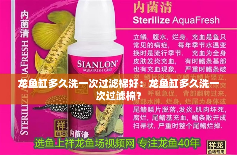 龍魚缸多久洗一次過濾棉好：龍魚缸多久洗一次過濾棉？