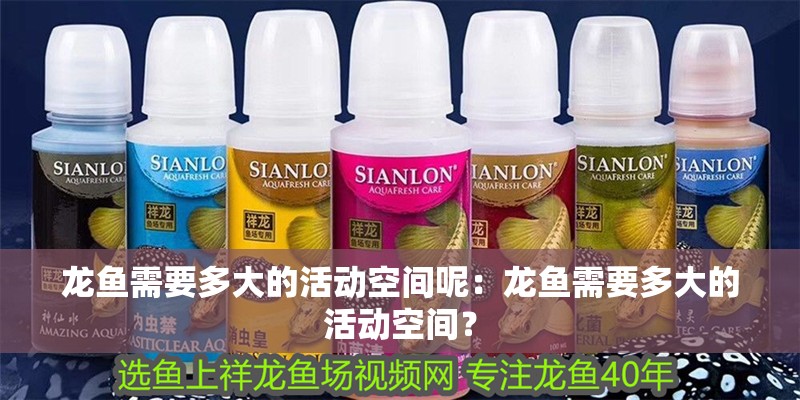 龍魚需要多大的活動空間呢：龍魚需要多大的活動空間？