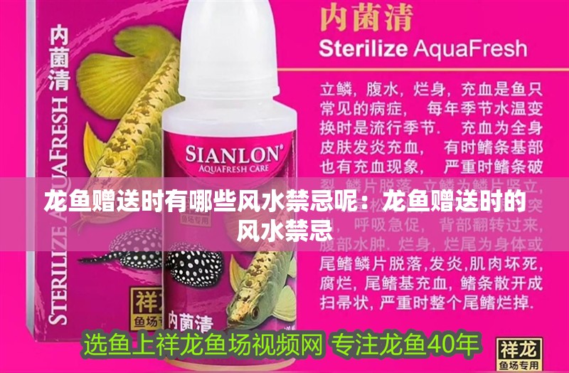 龍魚贈送時有哪些風水禁忌呢：龍魚贈送時的風水禁忌