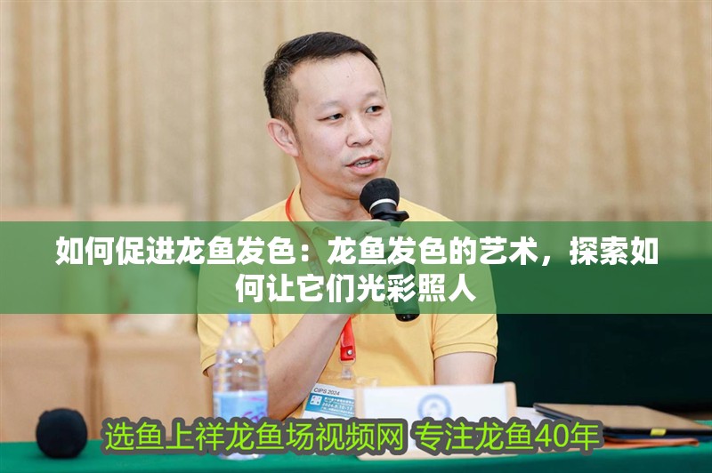 如何促進(jìn)龍魚發(fā)色：龍魚發(fā)色的藝術(shù)，探索如何讓它們光彩照人 如何促進(jìn)龍魚發(fā)色：龍魚發(fā)色的藝術(shù)，探索如何讓它們光彩照人 水族問答