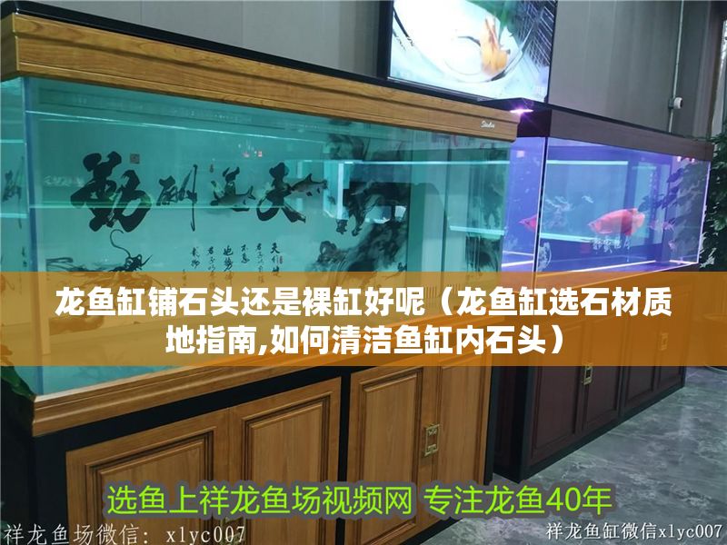 龍魚缸鋪石頭還是裸缸好呢（龍魚缸選石材質地指南,如何清潔魚缸內石頭）