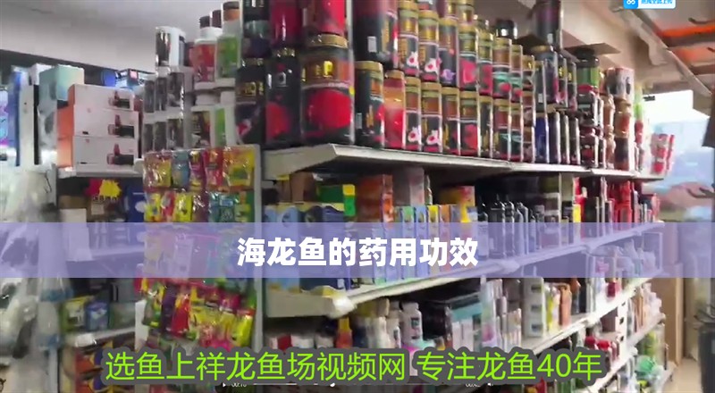海龍魚的藥用功效
