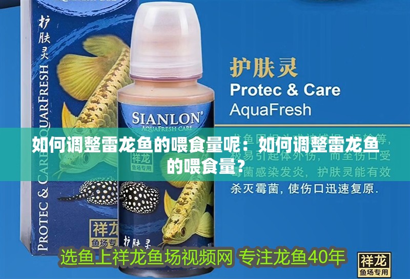 如何調整雷龍魚的喂食量呢：如何調整雷龍魚的喂食量？