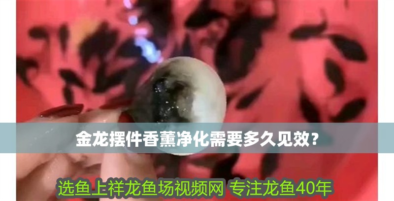 金龍擺件香薰凈化需要多久見效？
