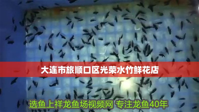 大連市旅順口區光榮水竹鮮花店