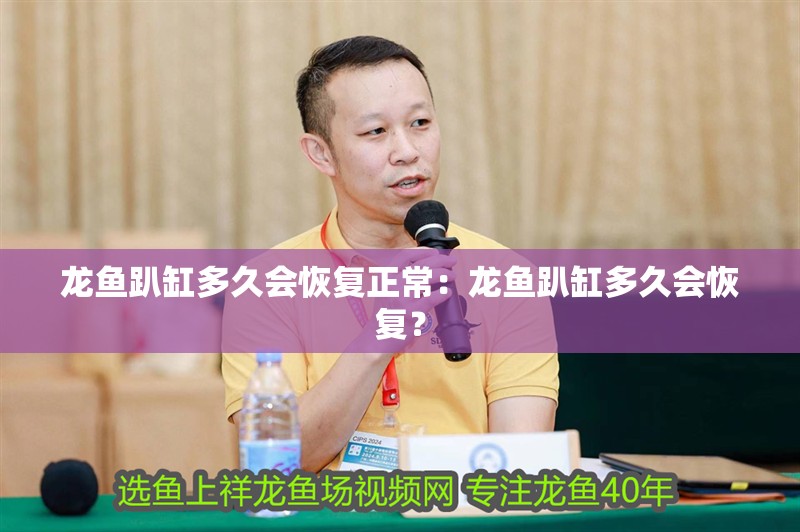 龍魚趴缸多久會恢復正常：龍魚趴缸多久會恢復？