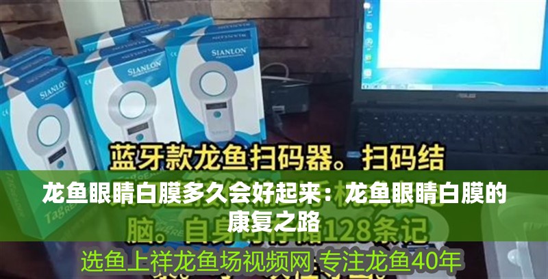 龍魚(yú)眼睛白膜多久會(huì)好起來(lái)：龍魚(yú)眼睛白膜的康復(fù)之路