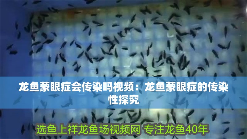 龍魚蒙眼癥會傳染嗎視頻：龍魚蒙眼癥的傳染性探究
