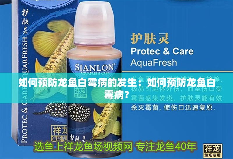 如何預防龍魚白霉病的發生：如何預防龍魚白霉?。? title=