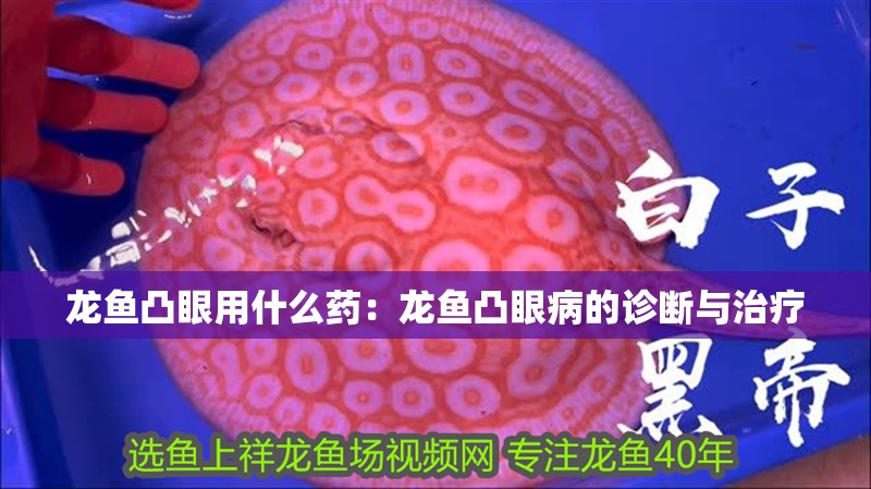 龍魚凸眼用什么藥：龍魚凸眼病的診斷與治療