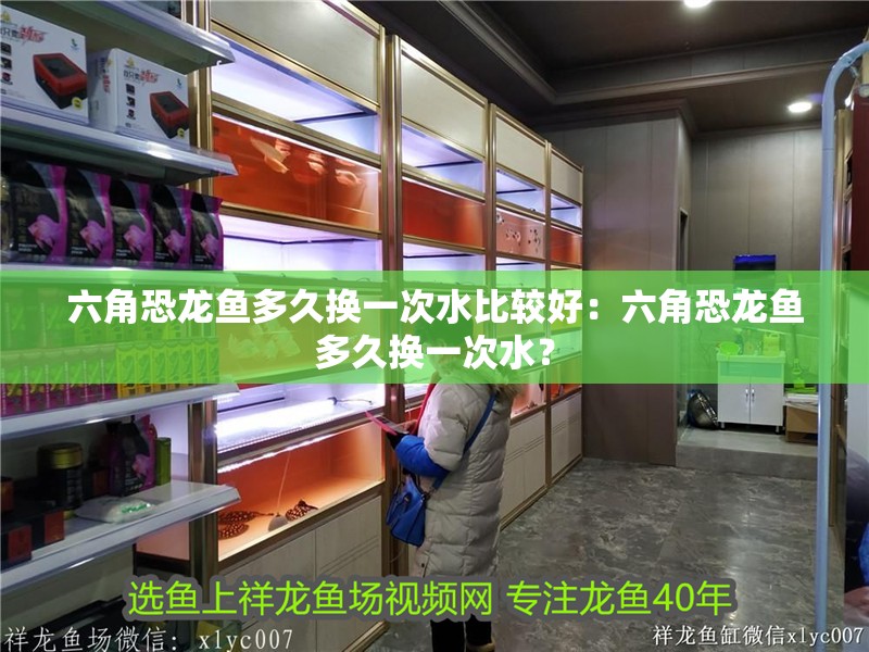 六角恐龍魚多久換一次水比較好：六角恐龍魚多久換一次水？