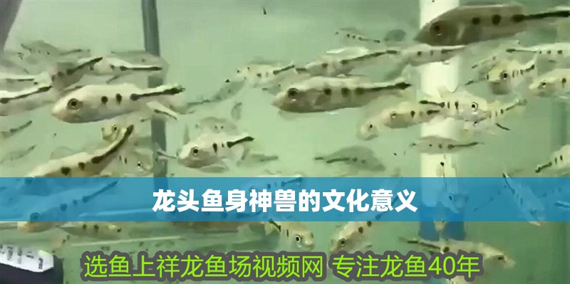 龍頭魚(yú)身神獸的文化意義