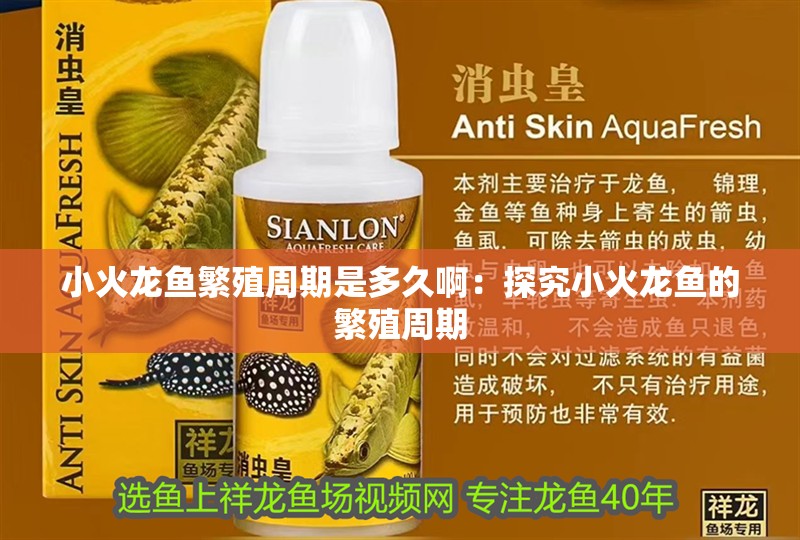 龍魚干蝦有營養(yǎng)嗎 小火龍魚繁殖周期是多久啊:探究小火龍魚的繁殖周期 水族問答 小火龍魚繁殖周期是多久啊:探究小火龍魚的繁殖周期 小火龍魚繁殖周期是多久啊:探究小火龍魚的繁殖周期 水族問答