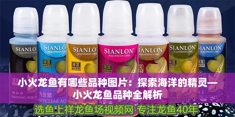 小火龍魚有哪些品種圖片：探索海洋的精靈—小火龍魚品種全解析