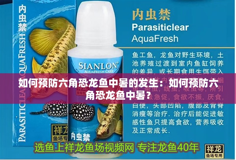 如何預防六角恐龍魚中暑的發(fā)生：如何預防六角恐龍魚中暑？