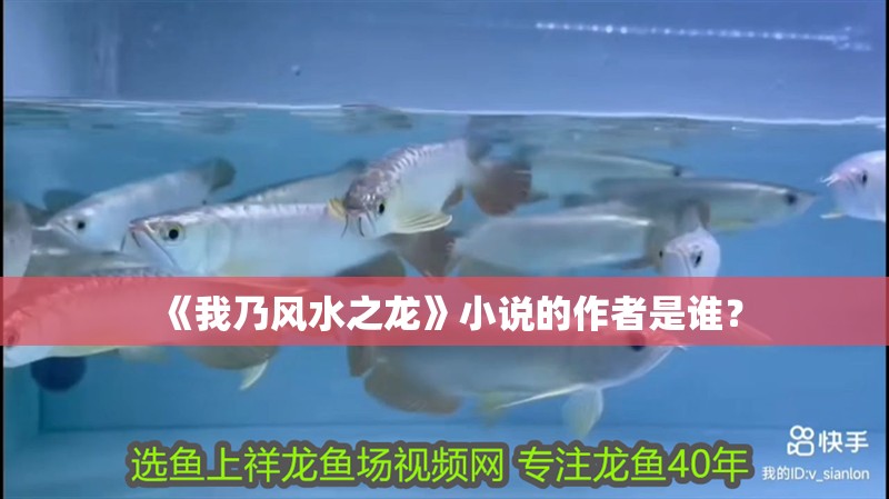 魚缸過濾器選購指南:自制魚缸過濾器魚缸上置過濾器對于養魚愛好者的必備知識 《我乃風水之龍》小說的作者是誰? 龍魚百科 《我乃風水之龍》小說的作者是誰? 《我乃風水之龍》小說的作者是誰? 龍魚百科