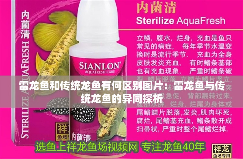 雷龍魚和傳統龍魚有何區別圖片：雷龍魚與傳統龍魚的異同探析