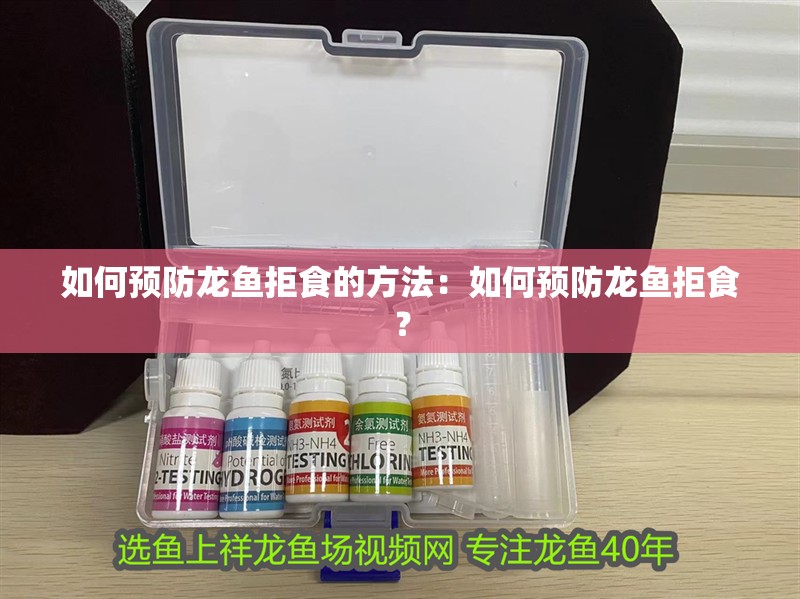 如何預防龍魚拒食的方法：如何預防龍魚拒食？