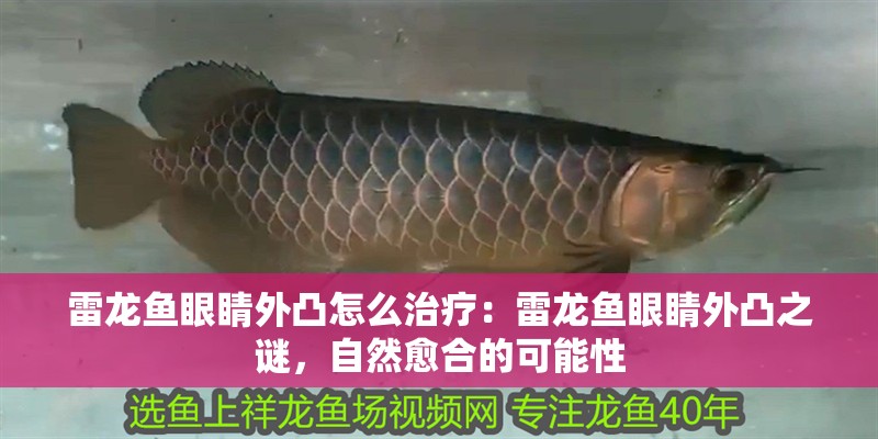 雷龍魚(yú)眼睛外凸怎么治療：雷龍魚(yú)眼睛外凸之謎，自然愈合的可能性