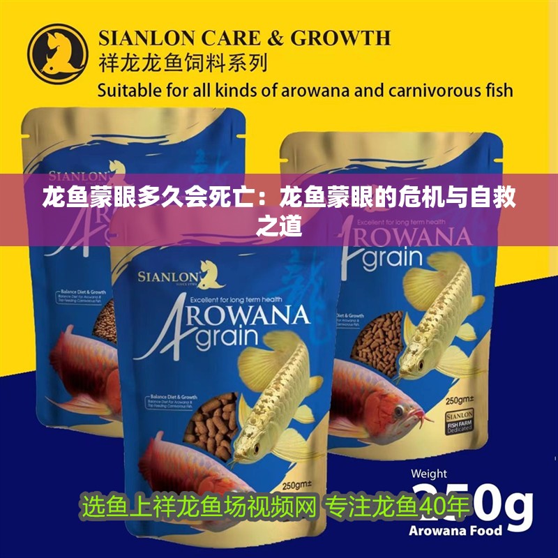 龍魚蒙眼多久會死亡：龍魚蒙眼的危機與自救之道