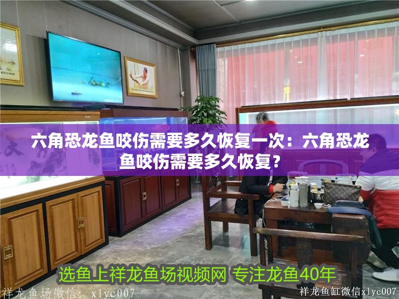 六角恐龍魚咬傷需要多久恢復一次：六角恐龍魚咬傷需要多久恢復？