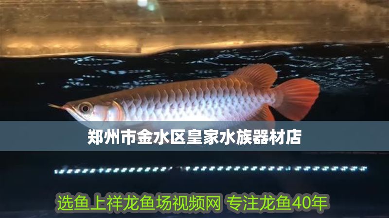 鄭州市金水區皇家水族器材店