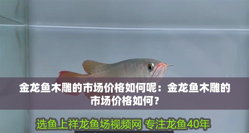 金龍魚木雕的市場(chǎng)價(jià)格如何呢：金龍魚木雕的市場(chǎng)價(jià)格如何？