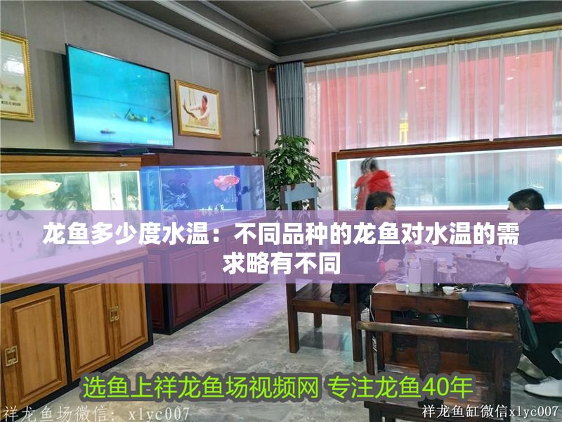 龍魚多少度水溫：不同品種的龍魚對水溫的需求略有不同