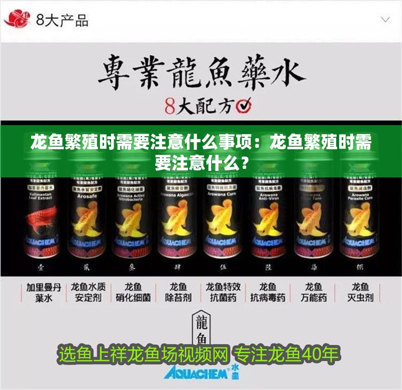 龍魚繁殖時需要注意什么事項：龍魚繁殖時需要注意什么？