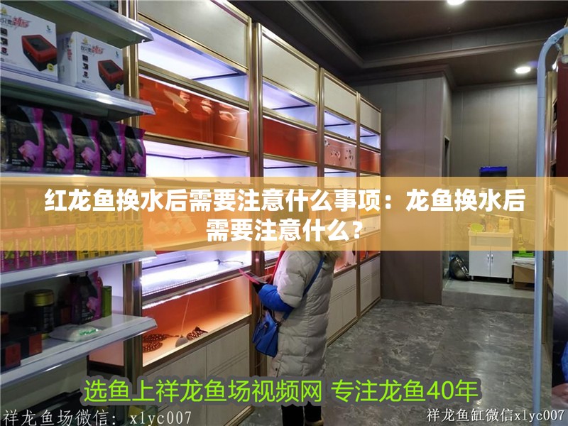 紅龍魚換水后需要注意什么事項：龍魚換水后需要注意什么？