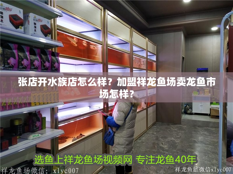 張店開水族店怎么樣？加盟祥龍魚場賣龍魚市場怎樣？ 張店開水族店怎么樣？加盟祥龍魚場賣龍魚市場怎樣？ 水族館百科（水族館加盟）