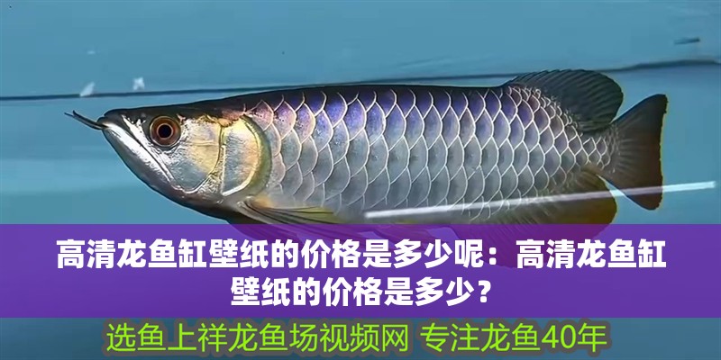 高清龍魚缸壁紙的價格是多少呢：高清龍魚缸壁紙的價格是多少？