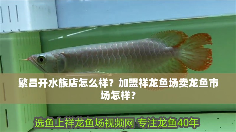 繁昌開水族店怎么樣？加盟祥龍魚場賣龍魚市場怎樣？