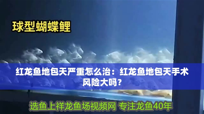 紅龍魚地包天嚴重怎么治：紅龍魚地包天手術風險大嗎？