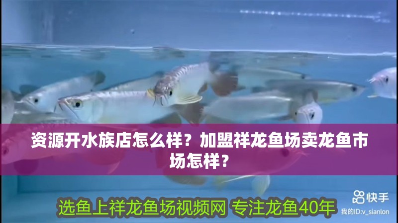 資源開水族店怎么樣？加盟祥龍魚場賣龍魚市場怎樣？